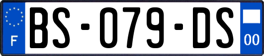 BS-079-DS