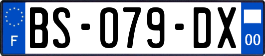 BS-079-DX