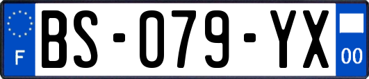 BS-079-YX