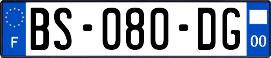BS-080-DG