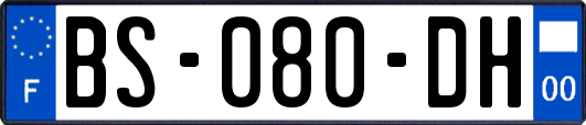 BS-080-DH