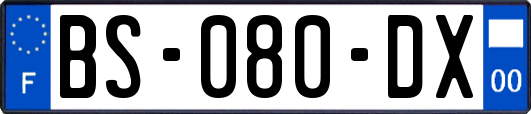 BS-080-DX