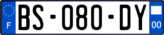 BS-080-DY