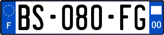 BS-080-FG