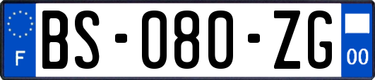 BS-080-ZG