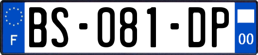 BS-081-DP