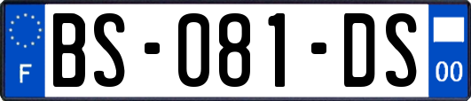 BS-081-DS