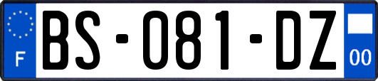 BS-081-DZ