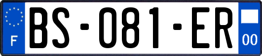 BS-081-ER