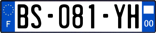 BS-081-YH