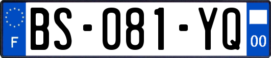 BS-081-YQ