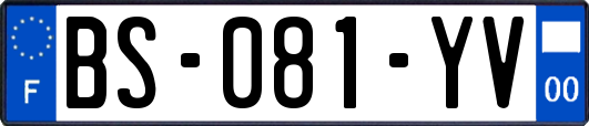 BS-081-YV