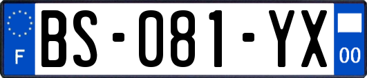 BS-081-YX