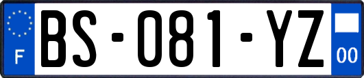 BS-081-YZ