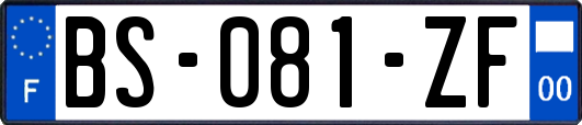 BS-081-ZF