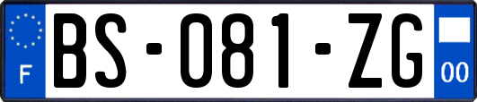 BS-081-ZG