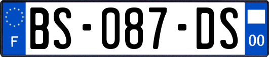 BS-087-DS