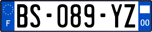 BS-089-YZ