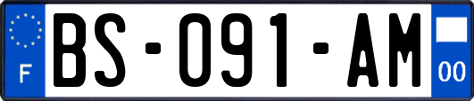 BS-091-AM