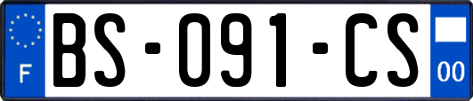 BS-091-CS