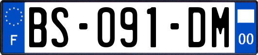 BS-091-DM