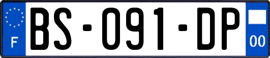 BS-091-DP