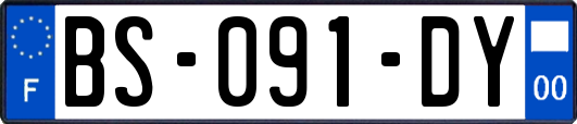 BS-091-DY