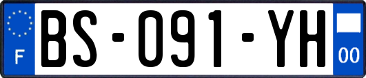 BS-091-YH