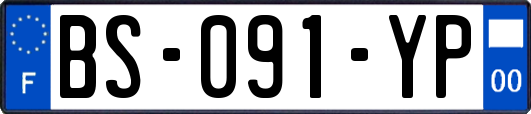 BS-091-YP