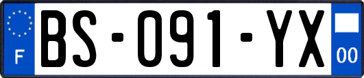 BS-091-YX