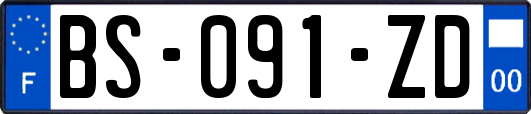 BS-091-ZD