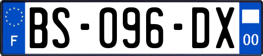 BS-096-DX