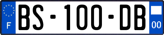 BS-100-DB