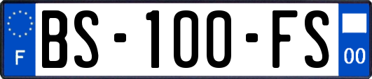 BS-100-FS