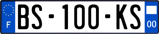 BS-100-KS