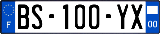 BS-100-YX