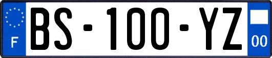BS-100-YZ