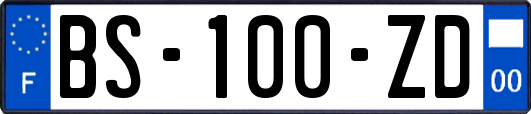 BS-100-ZD