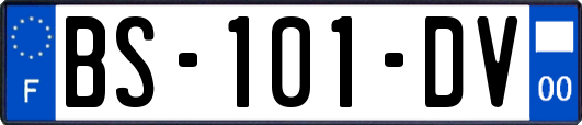 BS-101-DV