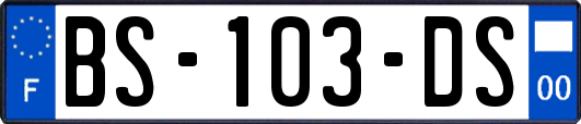 BS-103-DS