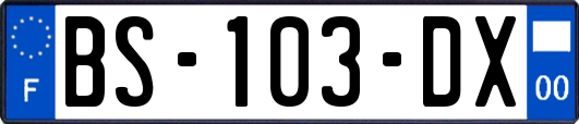 BS-103-DX