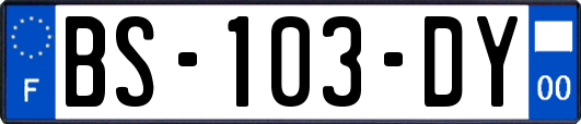 BS-103-DY