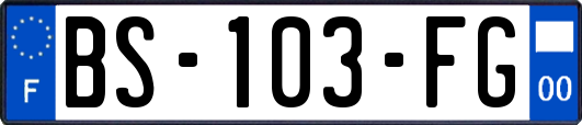 BS-103-FG