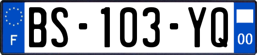 BS-103-YQ