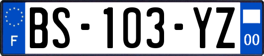 BS-103-YZ