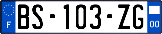 BS-103-ZG