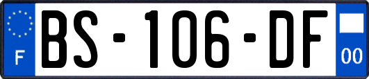 BS-106-DF