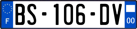 BS-106-DV