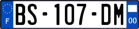 BS-107-DM