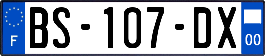 BS-107-DX